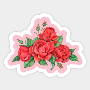 Hand-drawn red rose flower Sticker